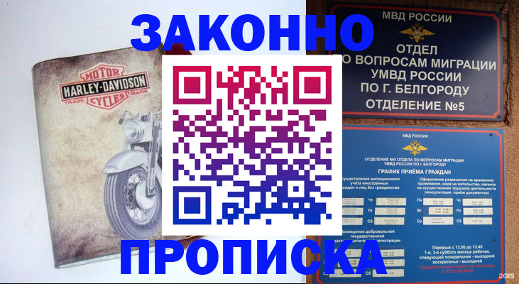 прописка для школы в Свободном